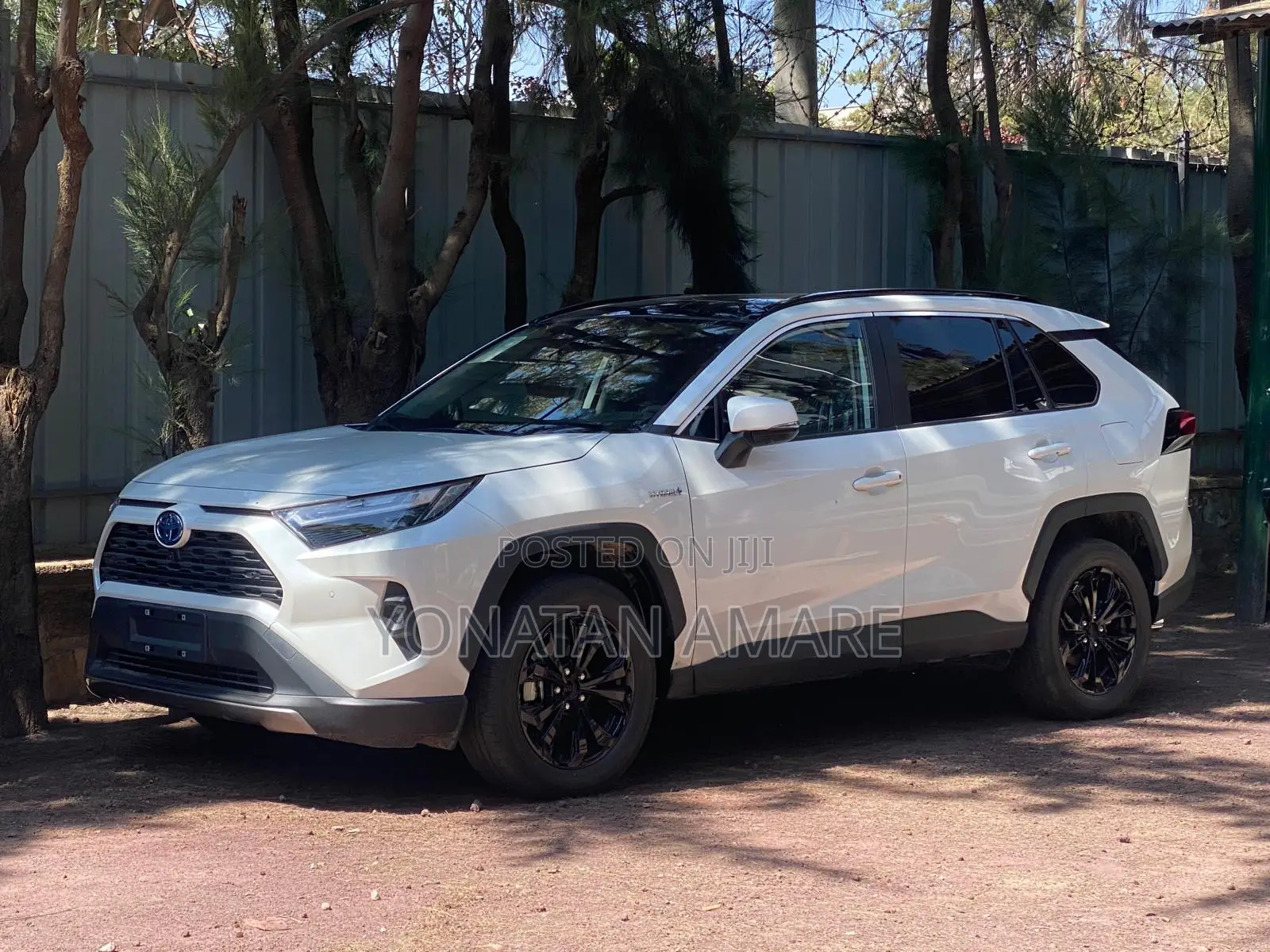 New Toyota RAV4 XLE AWD 2024 White