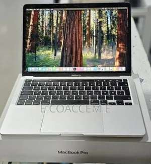 New Laptop Apple MacBook 8GB Apple M1 Pro SSD 256GB
