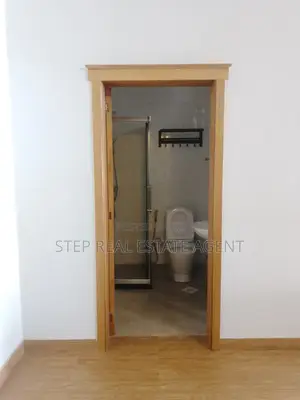 Furnished 3bdrm Apartment in Bole for rent