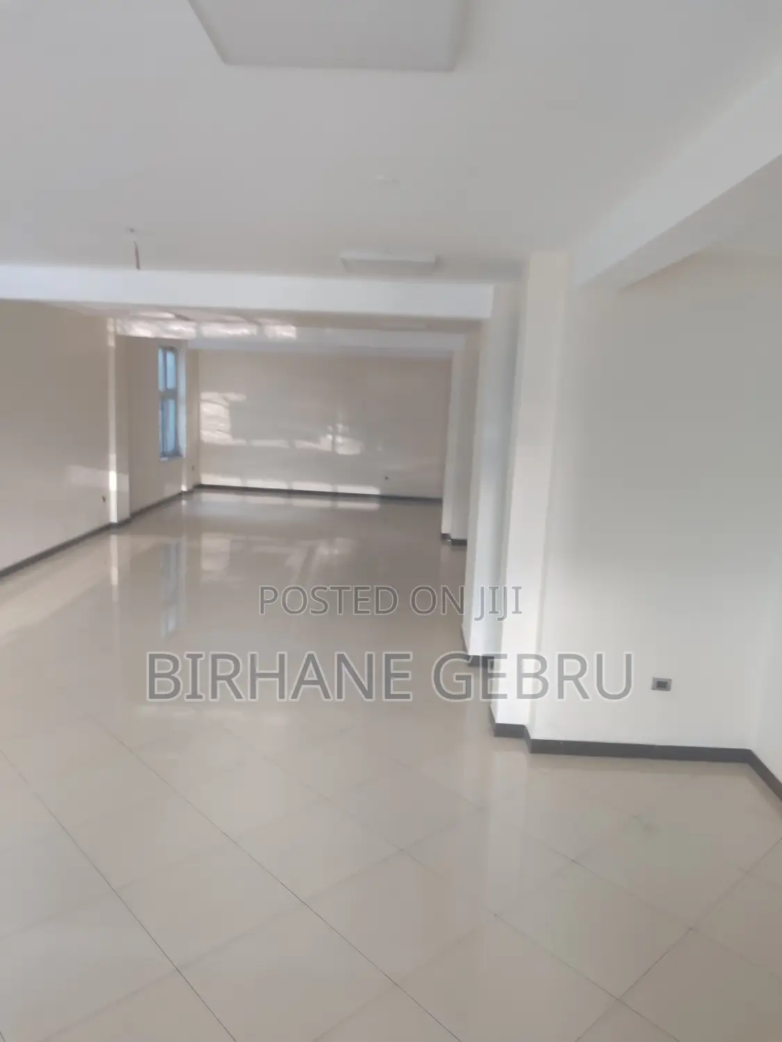 Luxury Apartiment Rent for Office Ngo and Other