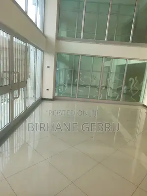 Luxury Apartiment Rent for Office Ngo and Other