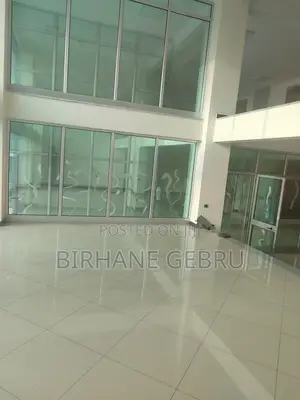 Luxury Apartiment Rent for Office Ngo and Other