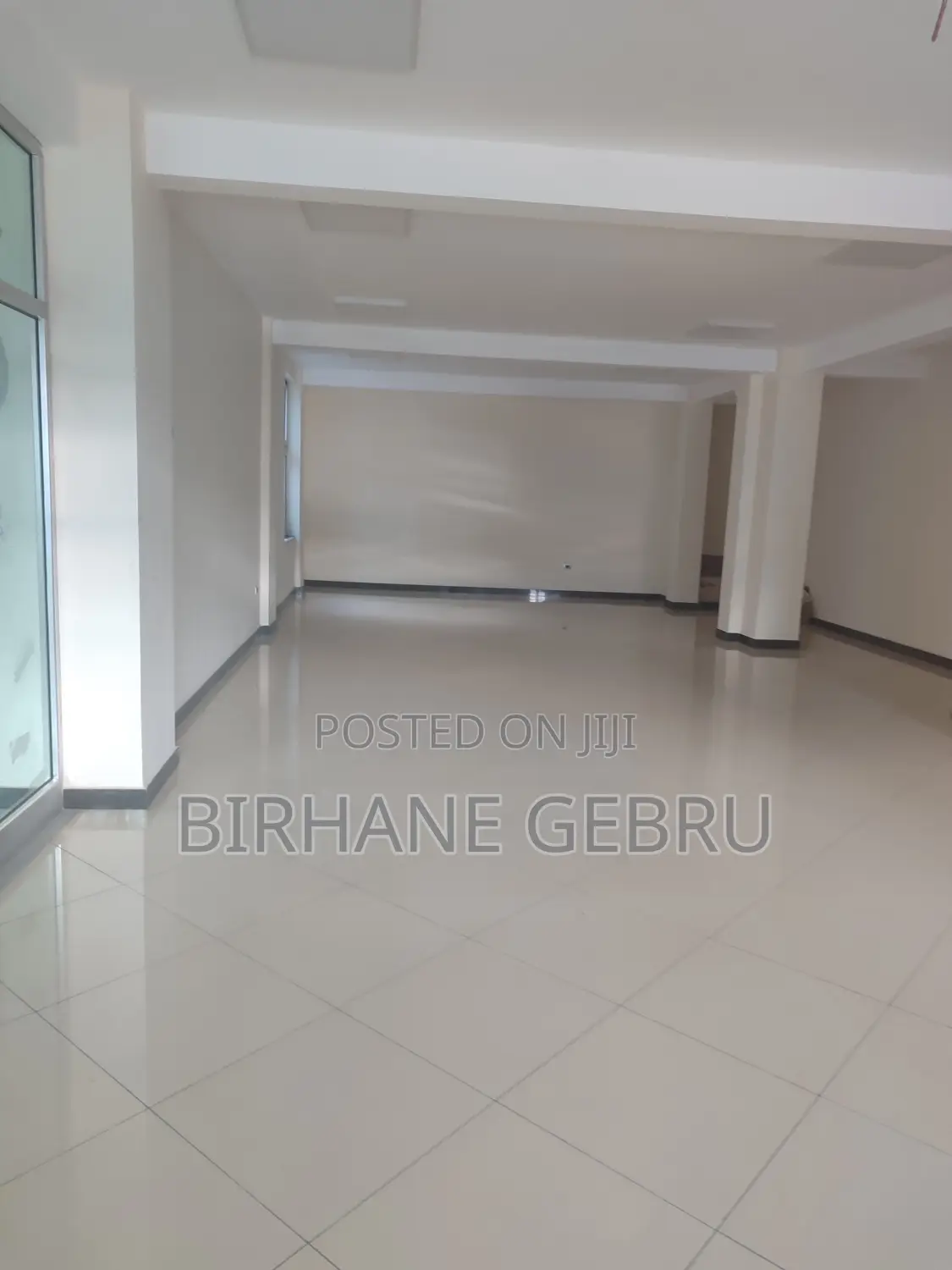 Luxury Apartiment Rent for Office Ngo and Other