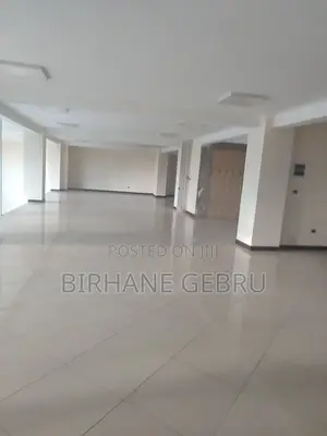 Luxury Apartiment Rent for Office or Business