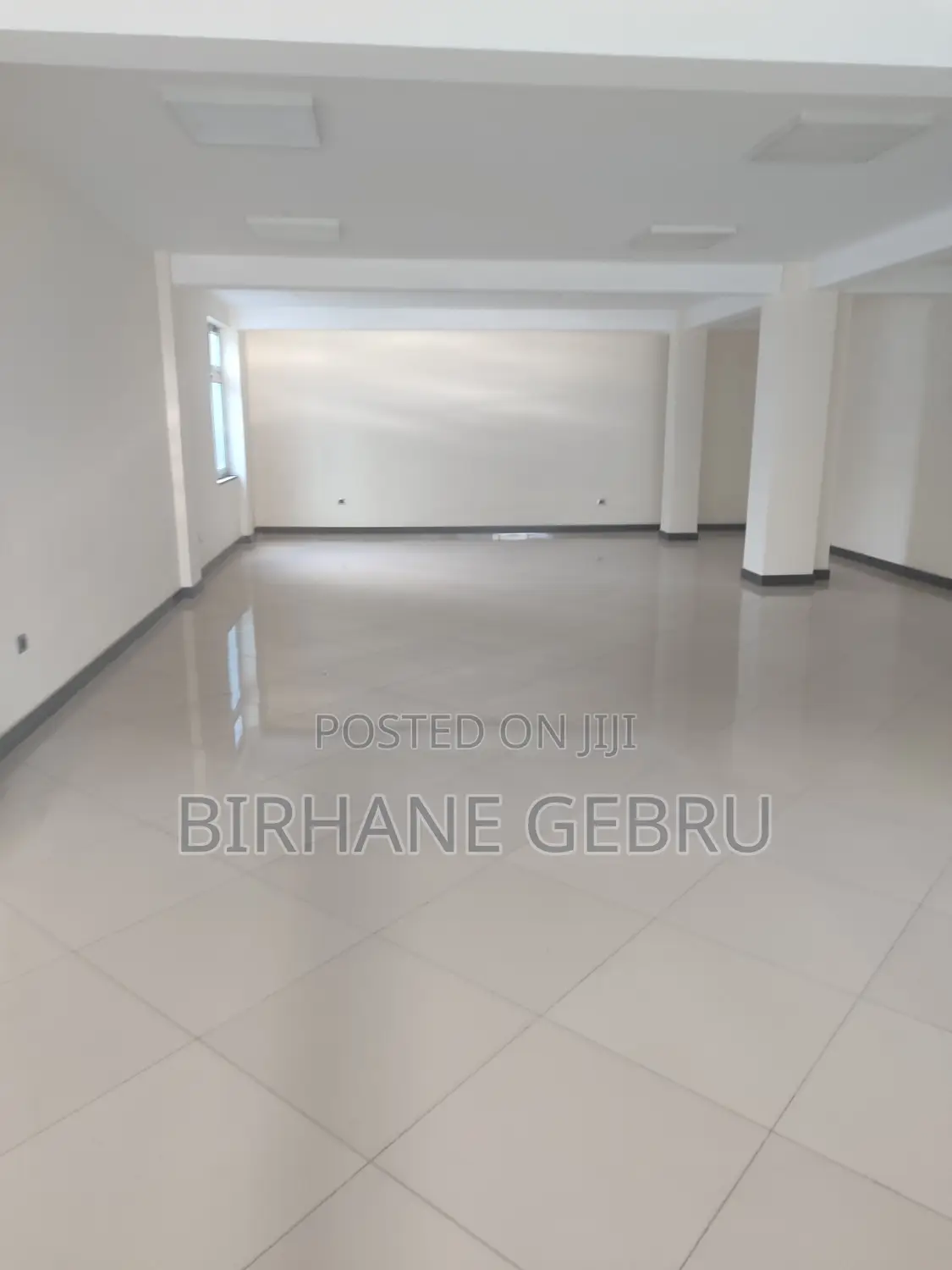 Luxury Apartiment Rent for Office or Business