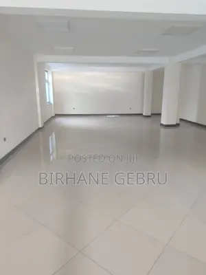 Luxury Apartiment Rent for Office or Business