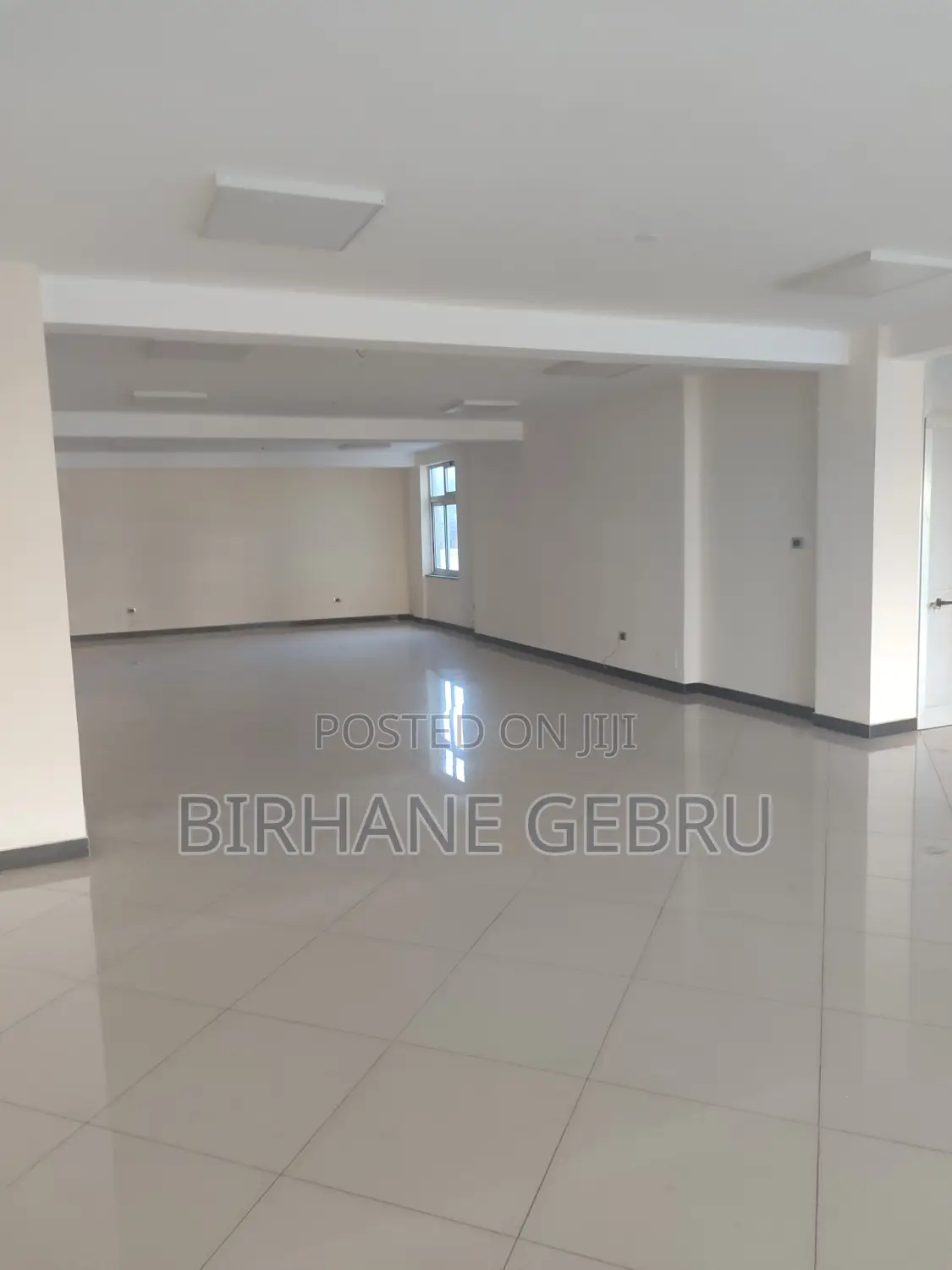 Luxury Apartiment Rent for Office or Business