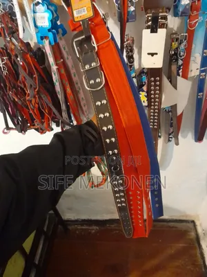 Band New Pet Accessories