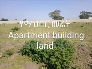 ሀዋሳ ከተማ ላይ የማህበር መሬት ዕጣ ሽያጭ