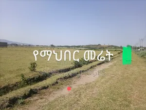 ሀዋሳ ከተማ ላይ የማህበር መሬት ዕጣ ሽያጭ