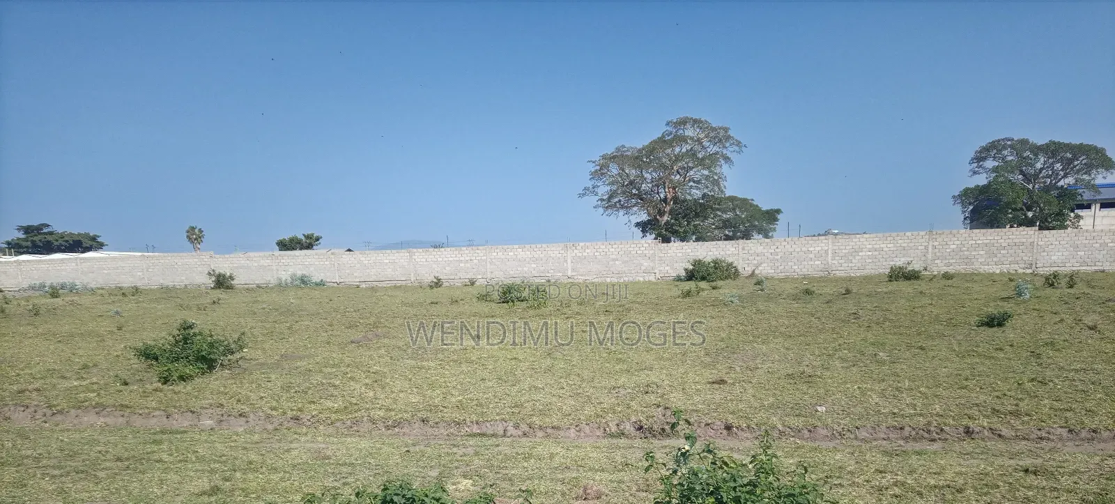 ሀዋሳ ከተማ ላይ የማህበር መሬት ዕጣ ሽያጭ