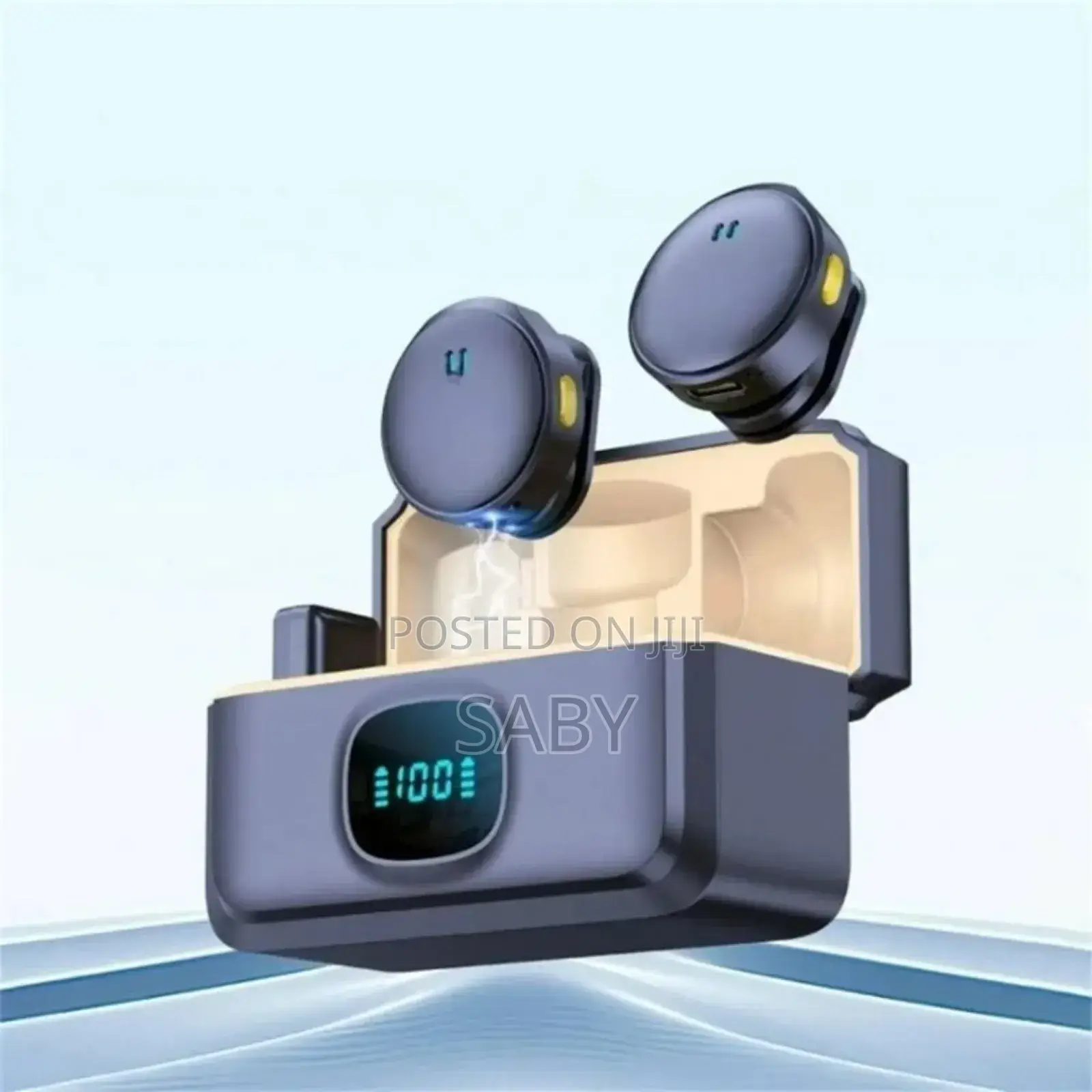 Dual Wireless Microphone