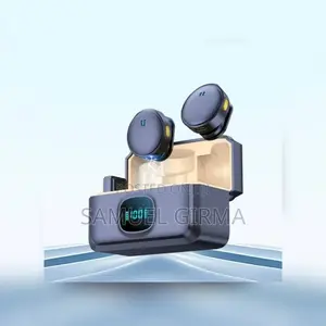 Photo - Dual Wireless Microphone