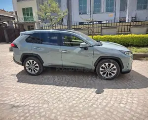 Toyota RAV4 2020 Gray