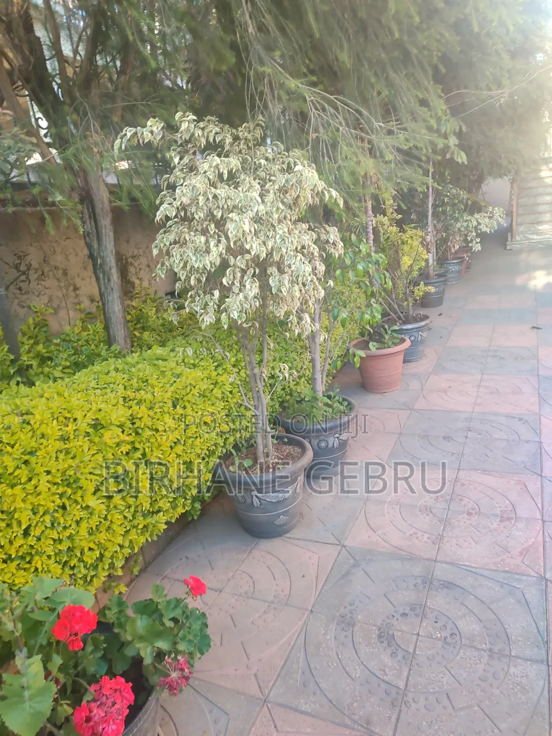 8bdrm House in G+1 Houses For Rent, Bole for rent