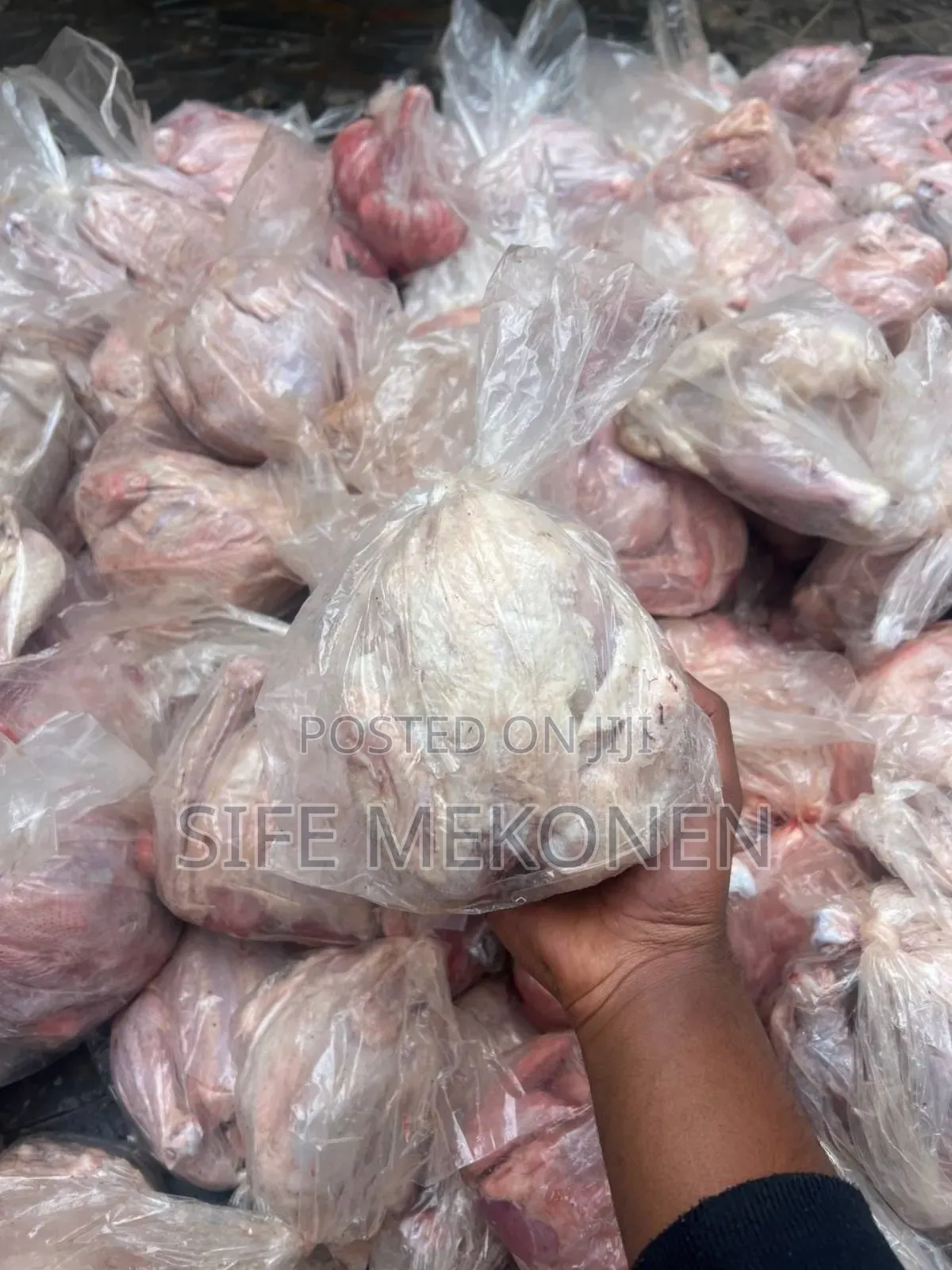 Full Chicken for Your Pet