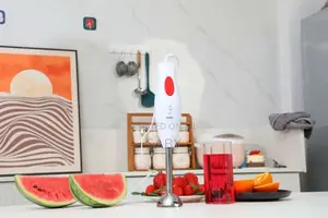 Sayona Hand Blender on Hand