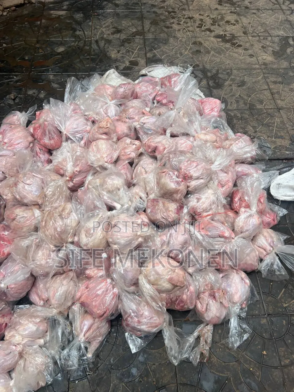 Full Chicken Bone for Your Pets