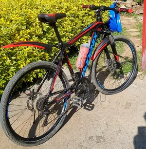 Original Phonex Bike