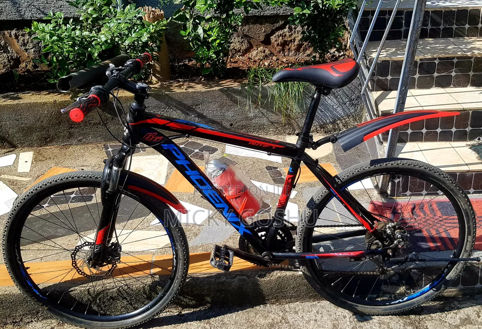 Original Phonex Bike