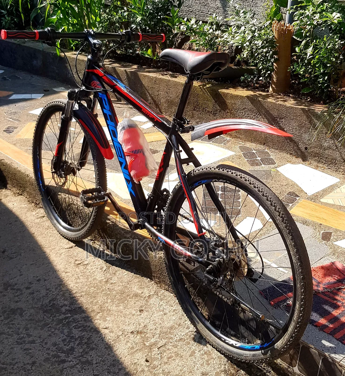 Original Phonex Bike