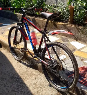 Original Phonex Bike