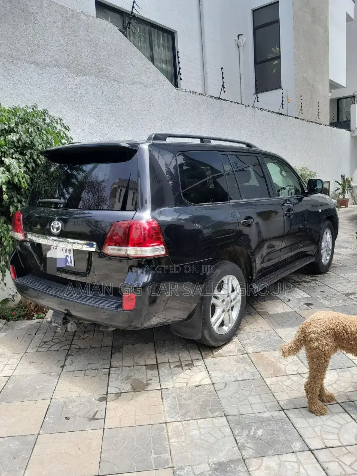 Toyota Land Cruiser 2012 Blue