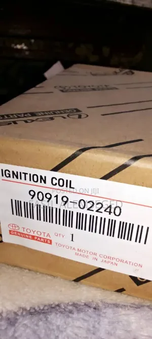 Ignition Coil and Spark Plug