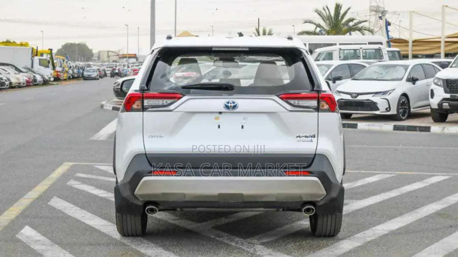 New Toyota RAV4 TRD Off Road AWD 2024 White