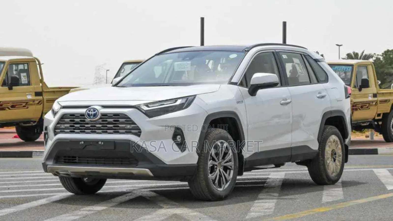 New Toyota RAV4 TRD Off Road AWD 2024 White