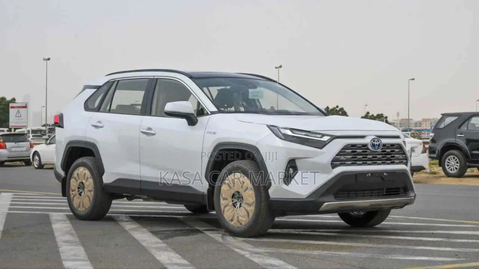 New Toyota RAV4 TRD Off Road AWD 2024 White