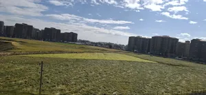 20bdrm House in ፓስተር መድሀኒያለም, Bole for sale