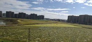 20bdrm House in ፓስተር መድሀኒያለም, Bole for sale