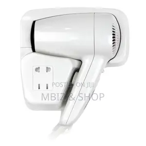 Wall Mounted Hair Dryer