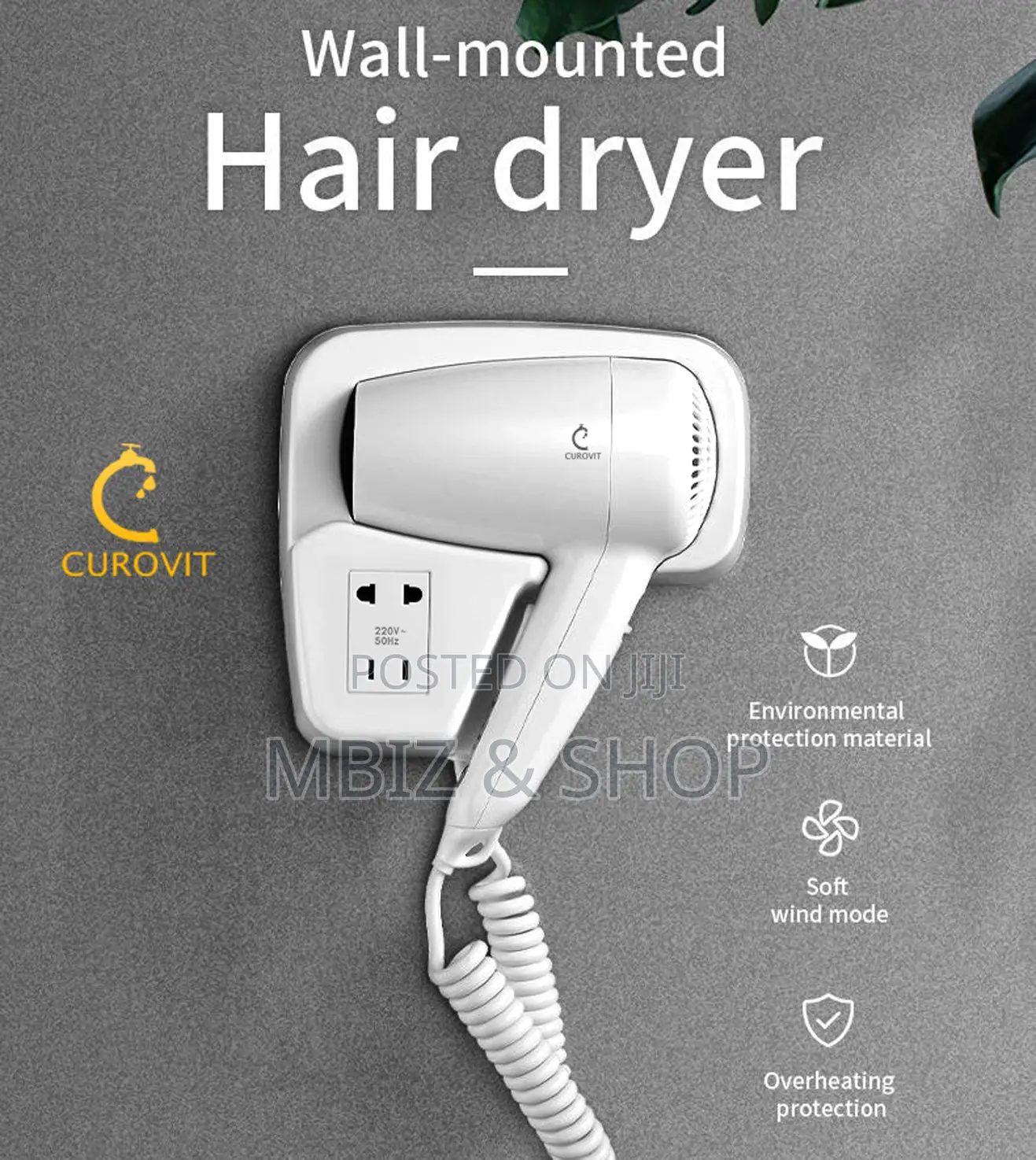 Wall Mounted Hair Dryer