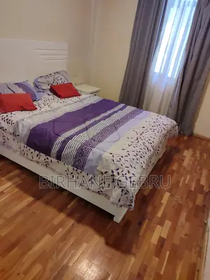 Furnished 3bdrm Apartment in 3Bedroom Luxury, Bole for rent