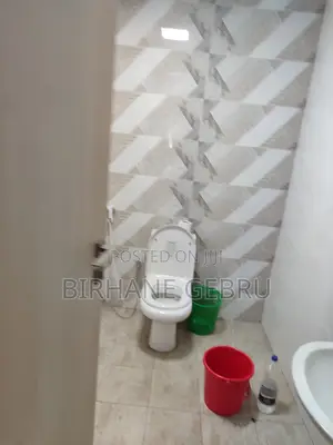 Furnished 3bdrm Apartment in 3Bedroom Luxury, Bole for rent