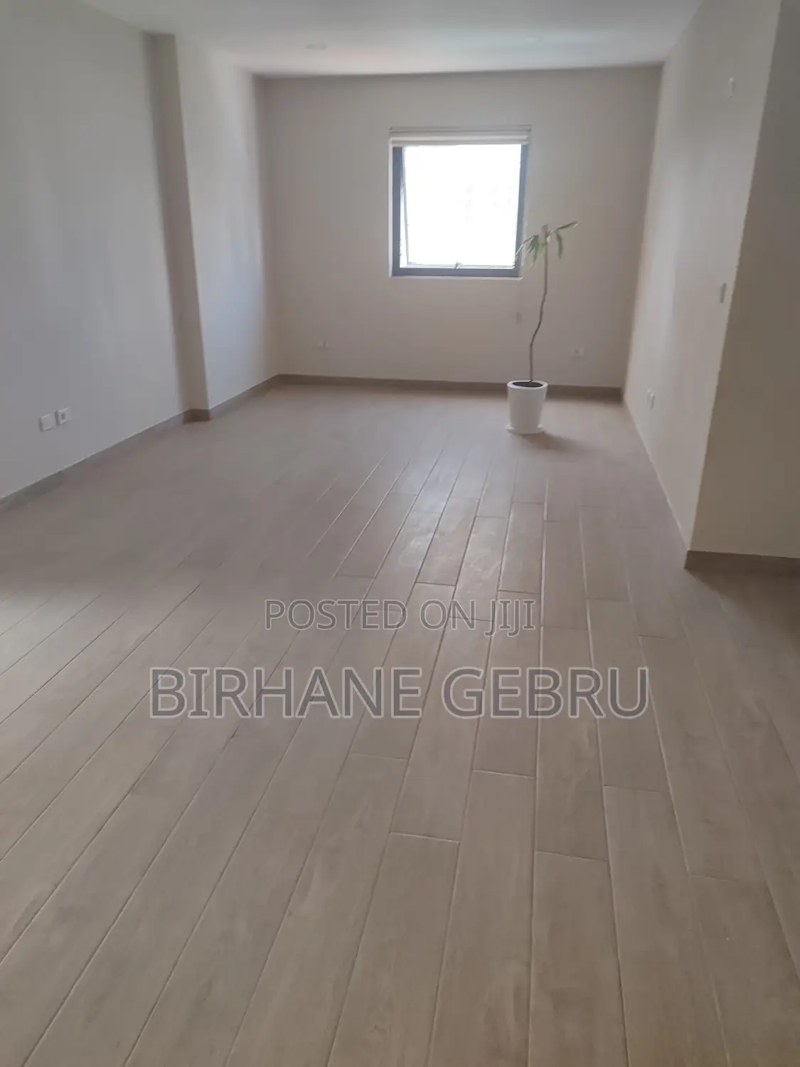 Luxury Apartiment Rent for Office