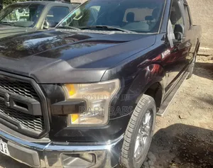 Ford F-150 2017 Matt Black