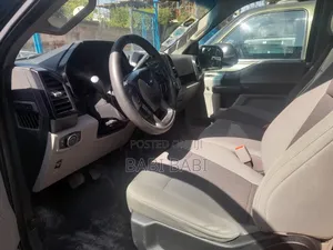 Ford F-150 2017 Matt Black