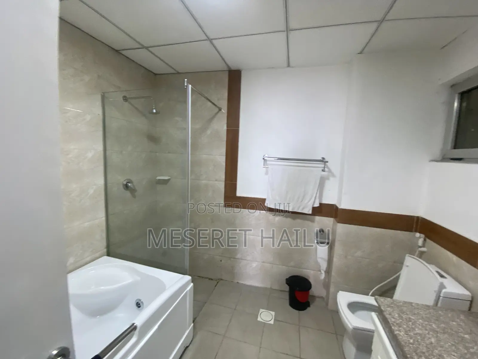 Furnished 3bdrm Apartment in Bole Atelase for rent