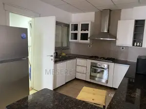 Furnished 3bdrm Apartment in Bole Atelase for rent