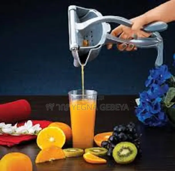 Manual Fruit Press Juicer