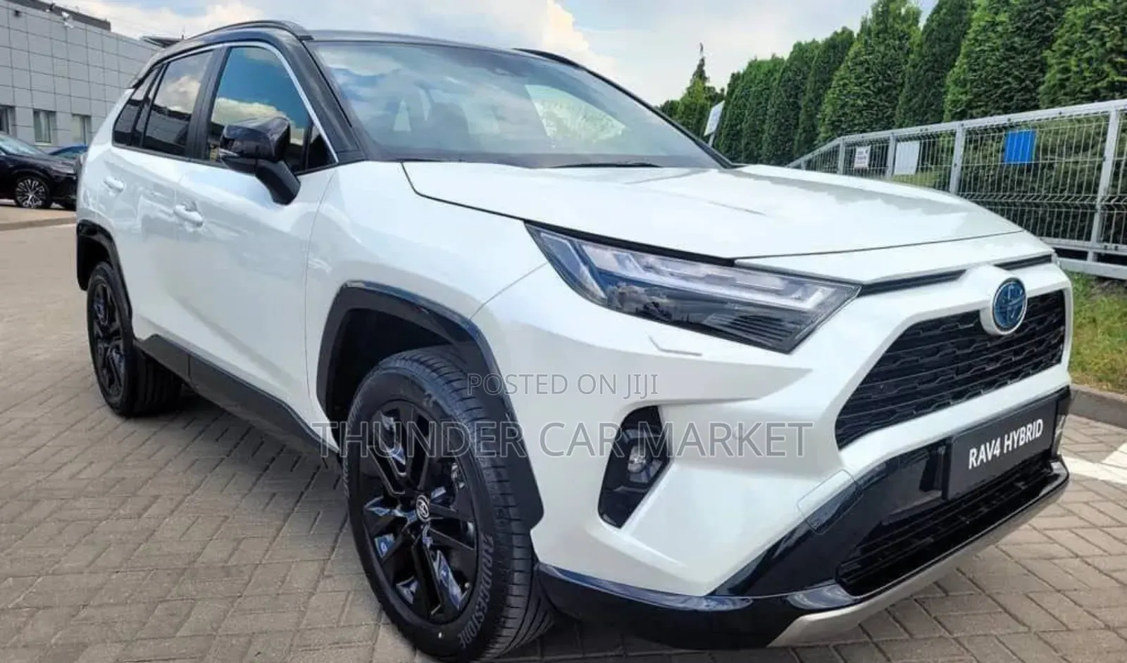 New Toyota RAV4 2024 White