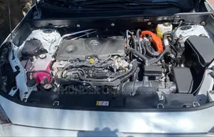 New Toyota RAV4 2024 White