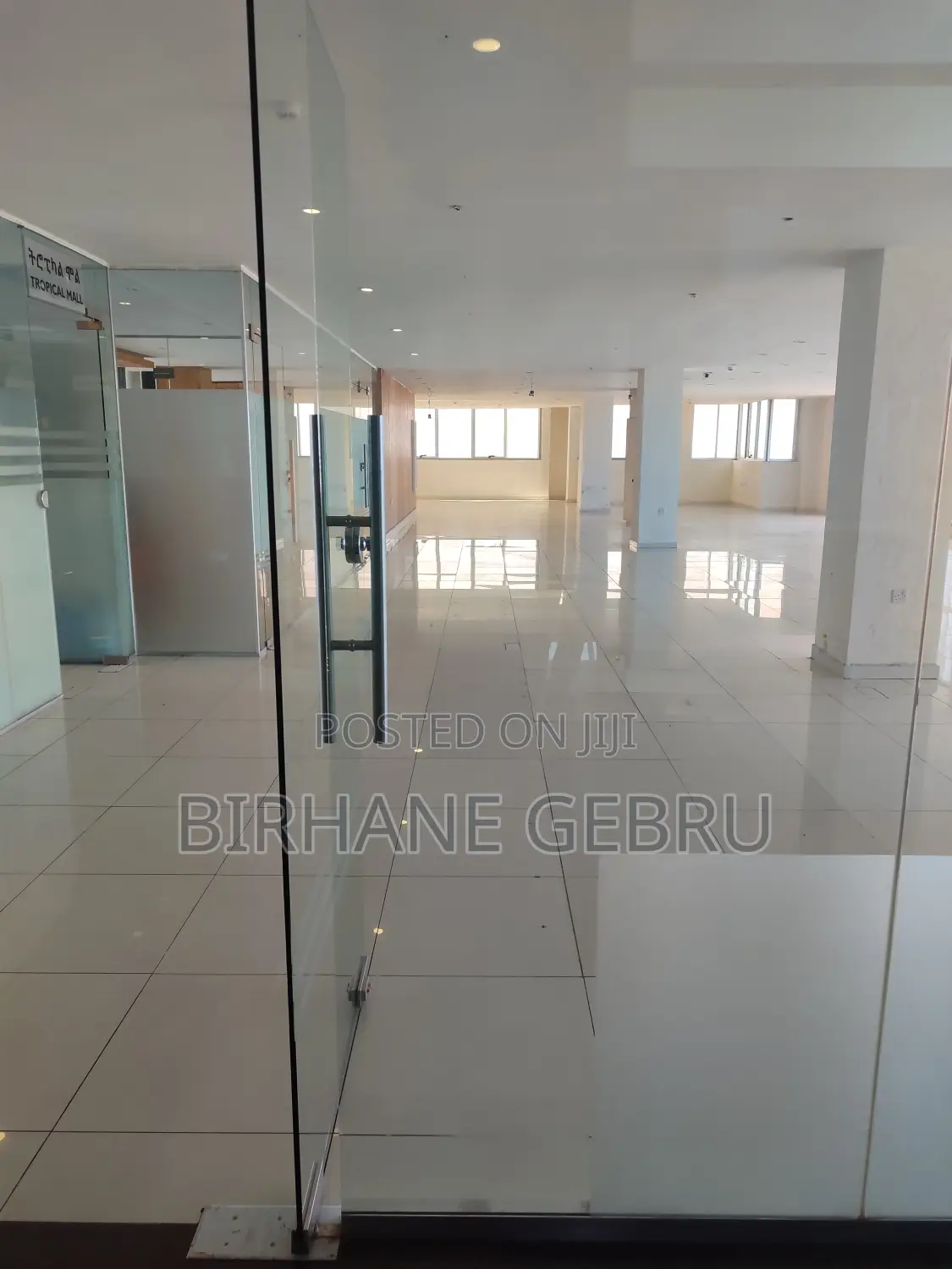 Luxury Apartment Rent for Office