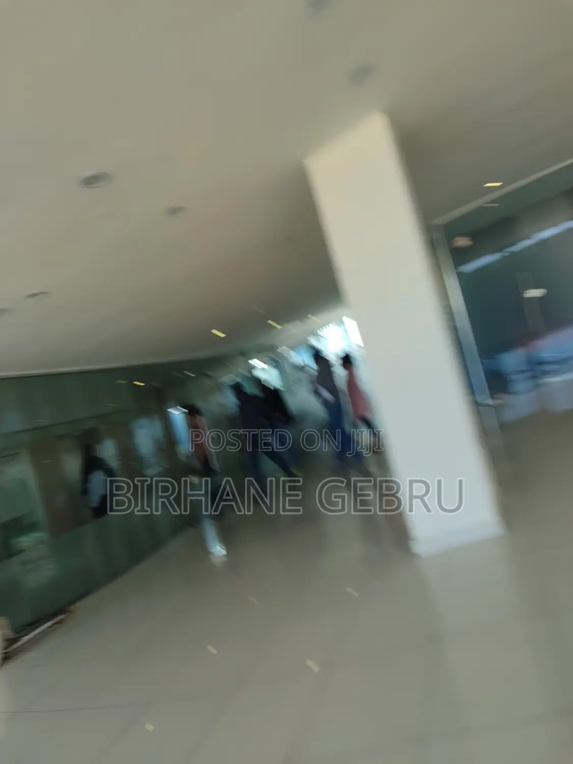 Luxury Apartment Rent for Office