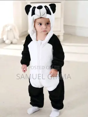 Photo - 3D Cartoon Panda Costume