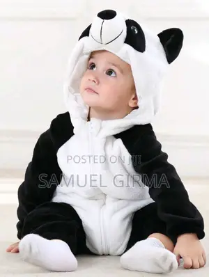 3D Cartoon Panda Costume