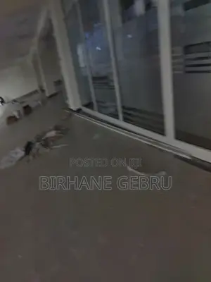 Luxury Apartiment Rent for Office